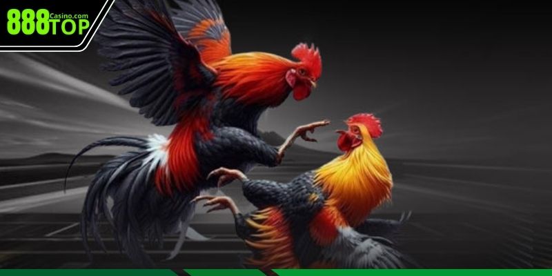 Hướng dẫn cược kết hợp